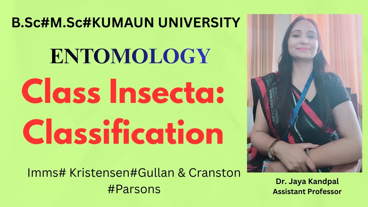 CLASSIFICATION OF CLASS INSECTA#IMMS AND MODERN CLASSIFICATION#ENTOMOLOGY#NET#SET#B.Sc.&M.Sc. Agri