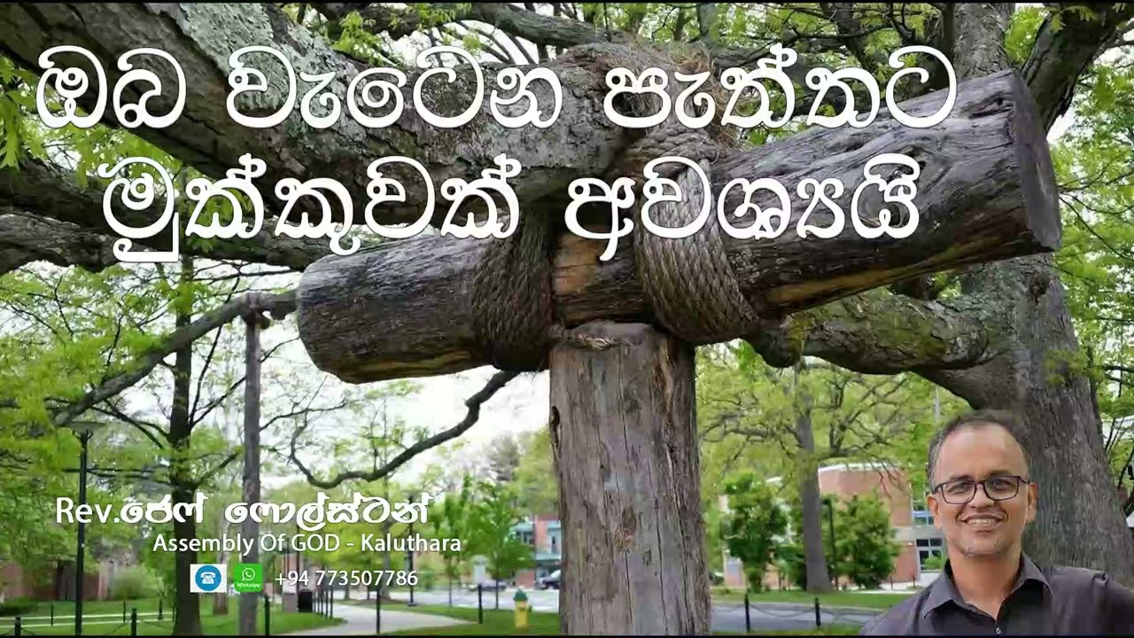ඔබ වැටෙන පැත්තට මුක්කුවක් අවශ්‍යයි