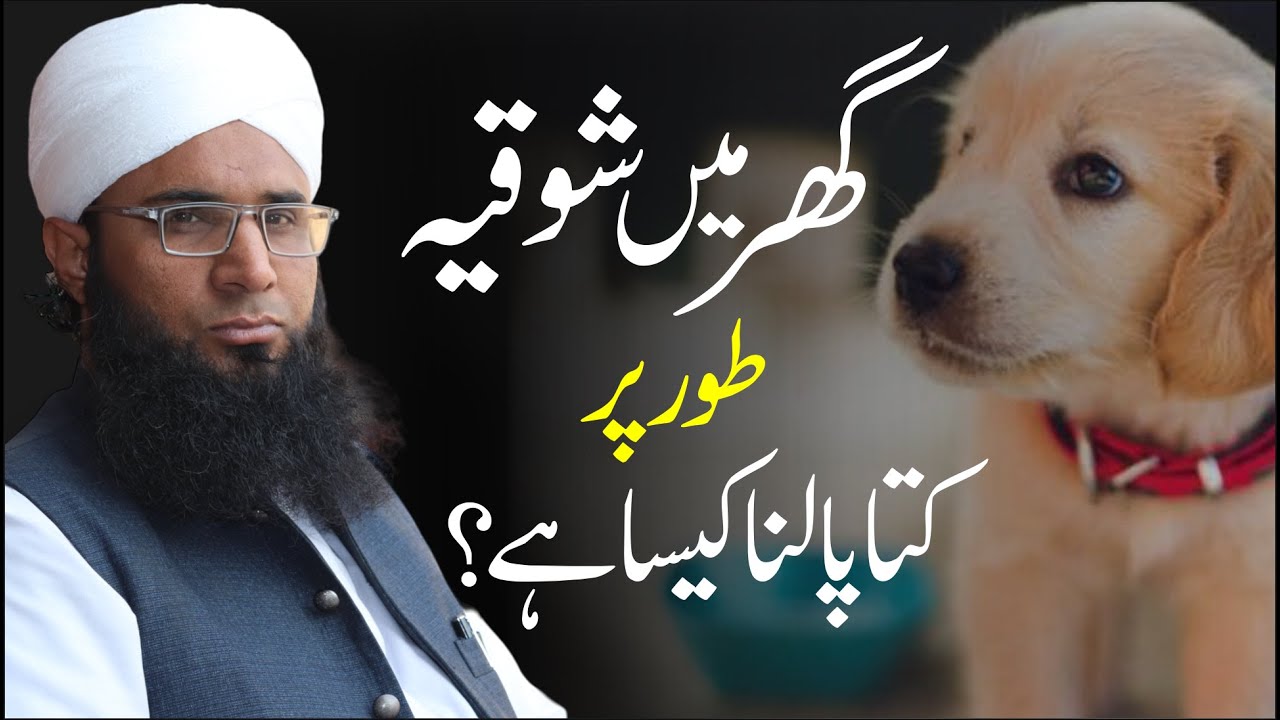 Ghar Mein Shokiya Kutta Palna Kaisa Hai? | Mufti Irfanullah Official #dog #pets #shortsclip