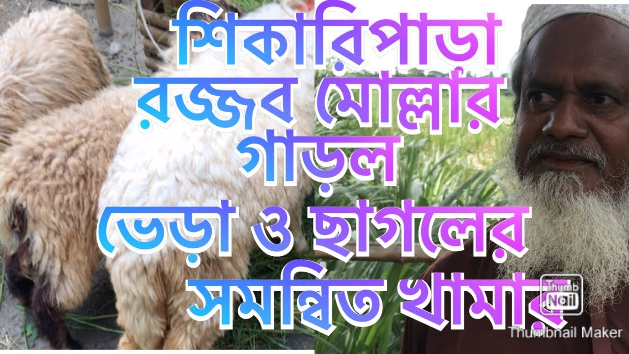 গাড়ল, ভেড়া ও ছাগলের সমন্বিত খামার | Mixed Farm