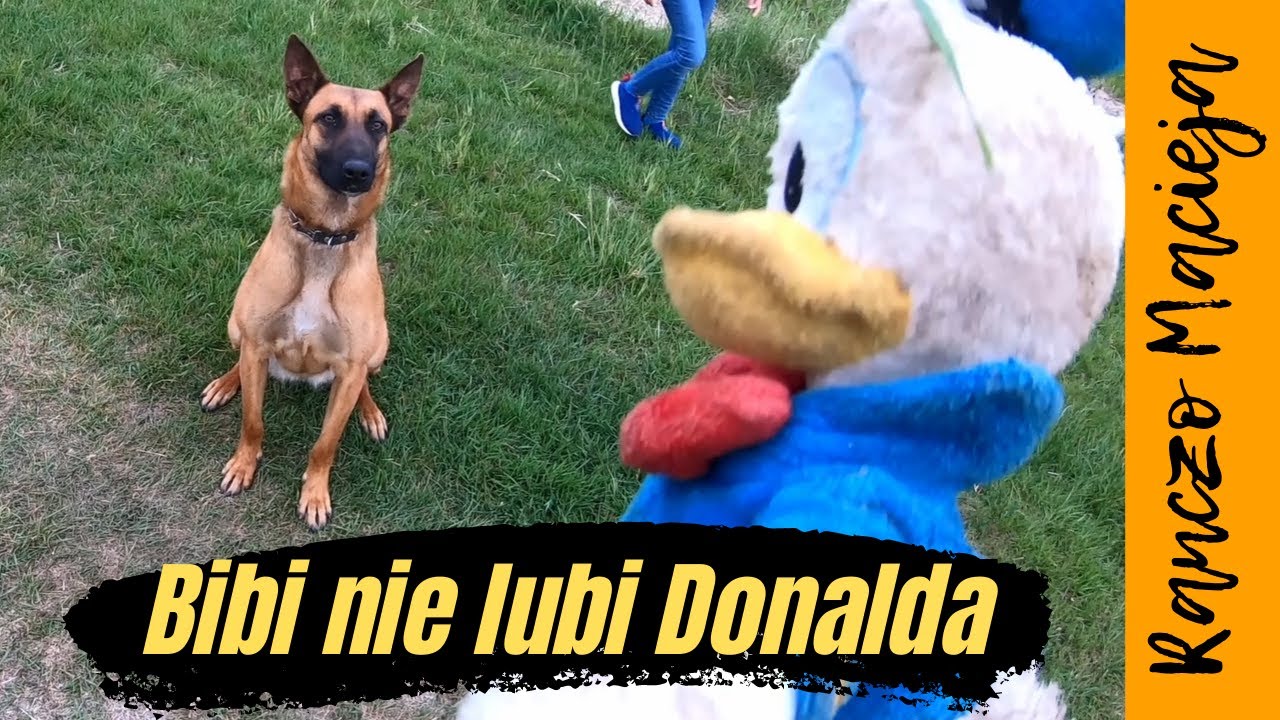Przy niedzieli #136