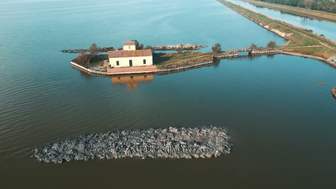 Comacchio - Valli di Comacchio (FE) 08-10-22