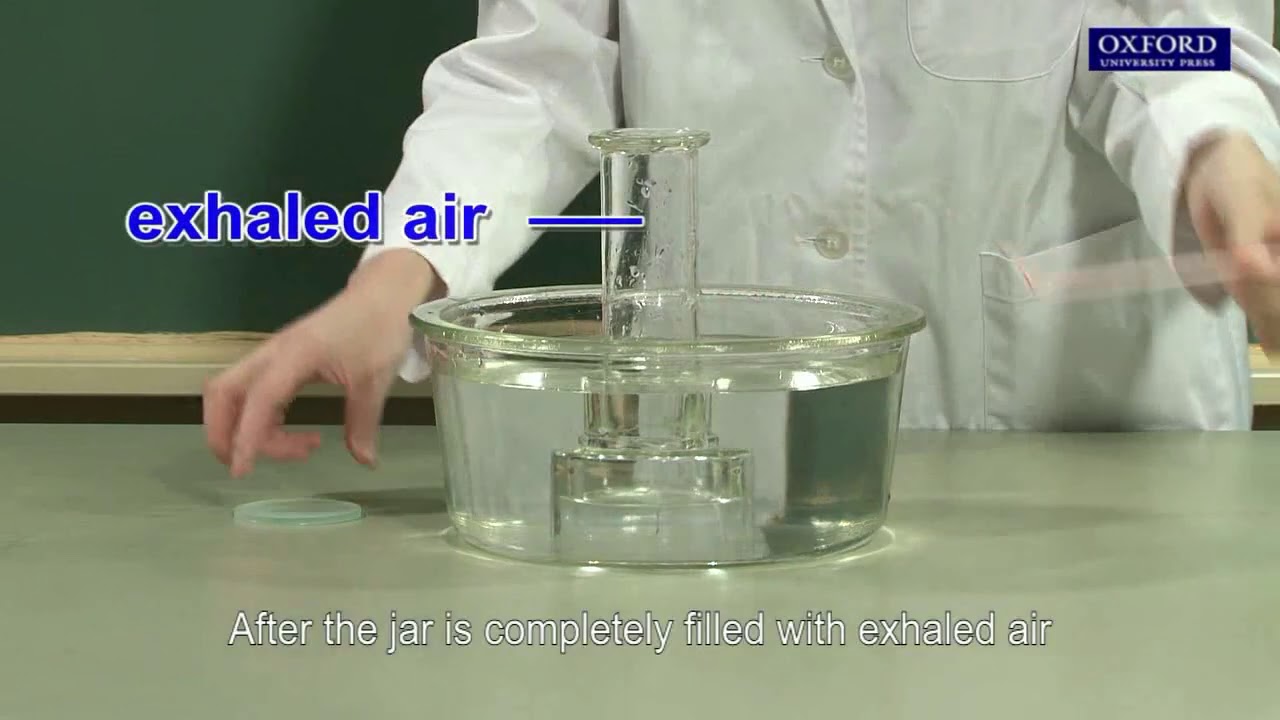 Practical 7.4 Comparison of the oxygen content of inhaled air and exhaled air