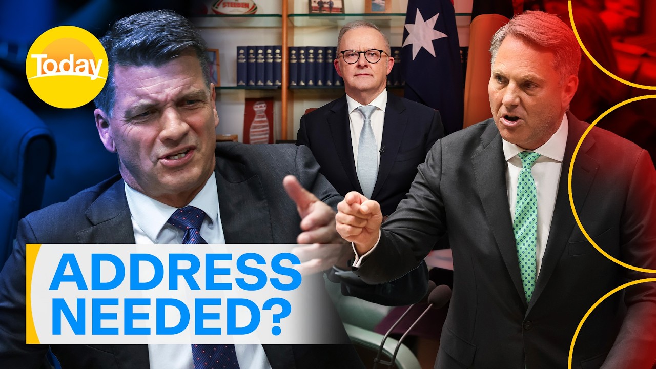 Richard Marles and Angus Taylor respond to the PM's address | Today Show Australia