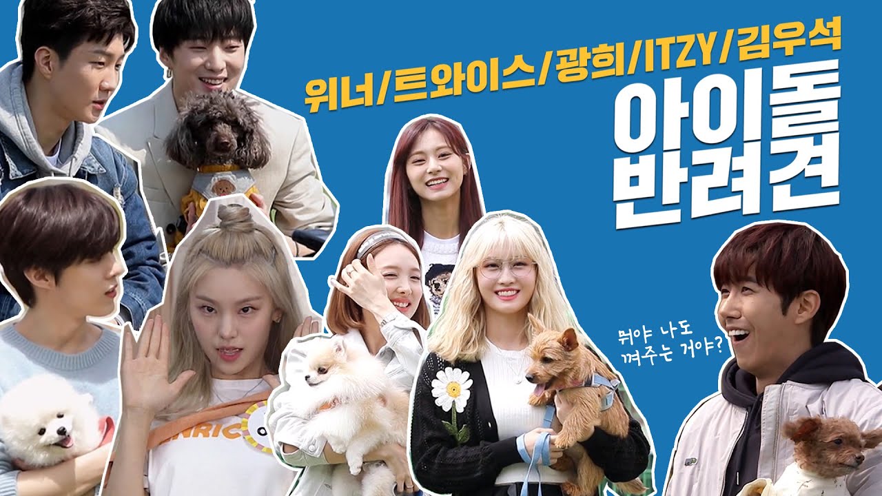 ITZY(있지)/트와이스/위너/광희/김우석 반려견 모음zip♡ (feat. 강형욱) [개는 훌륭하다]