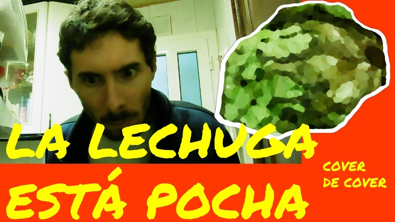 LA LECHUGA ESTA POCHA - Cover de cover