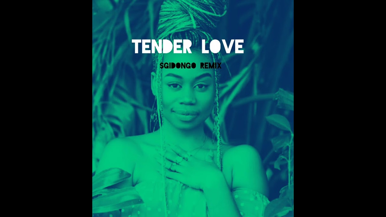 TENDER LOVE (sgidongo remix)