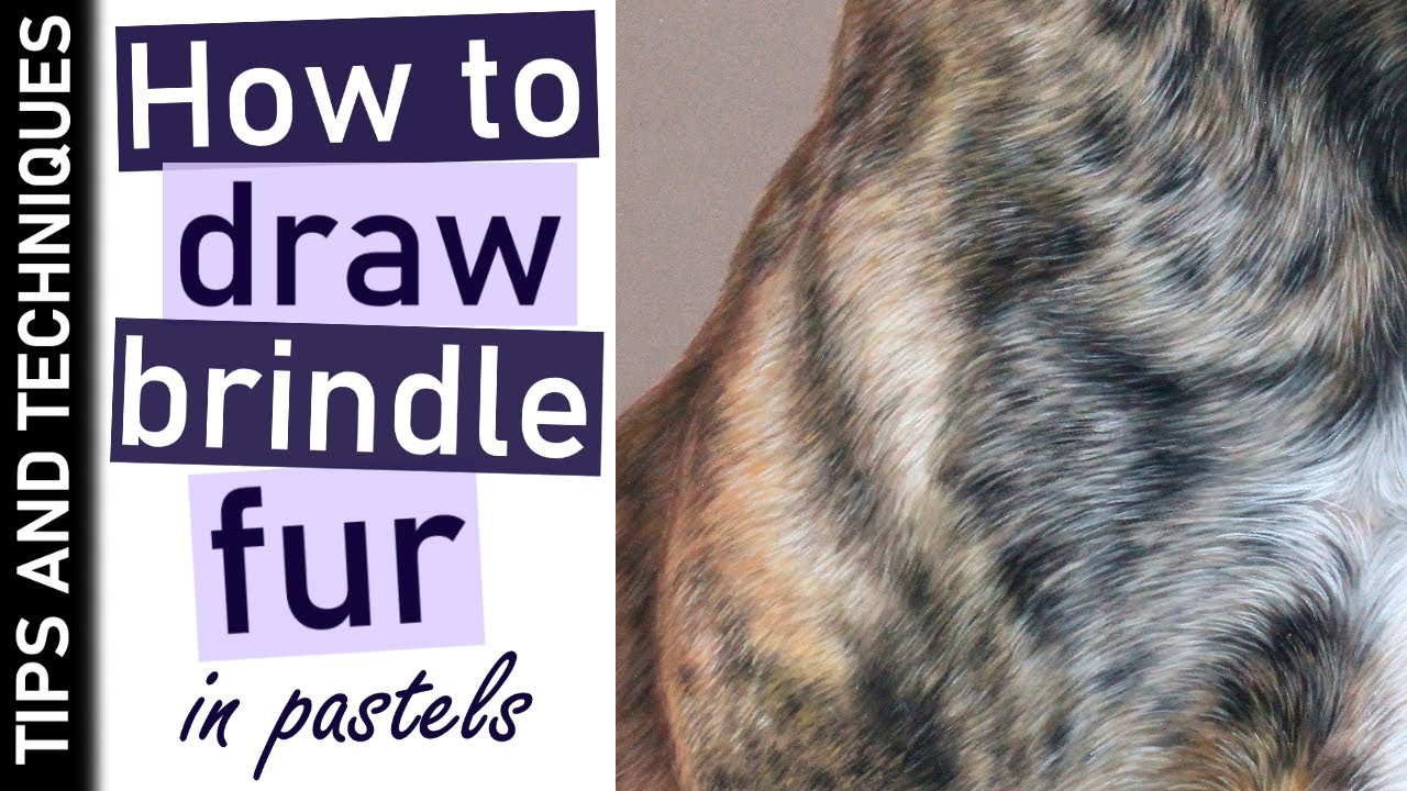 How to draw brindle fur in pastels | Pastel pencil drawing tips