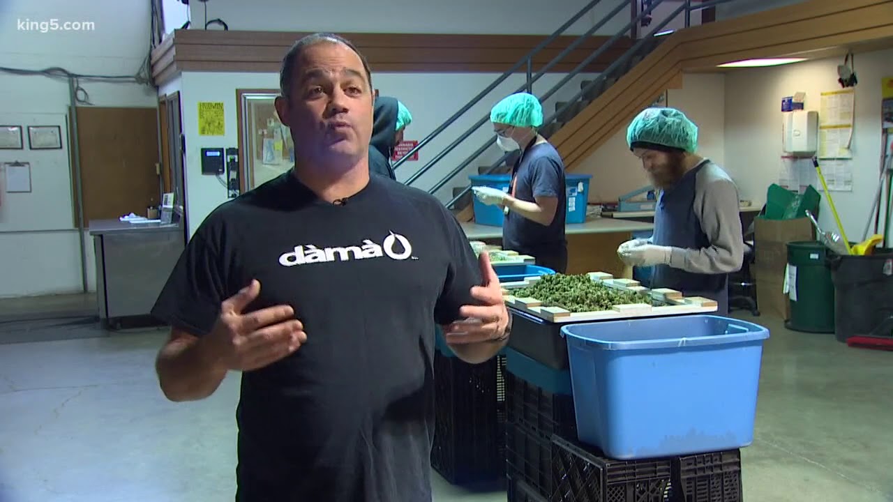 Marijuana grow operations