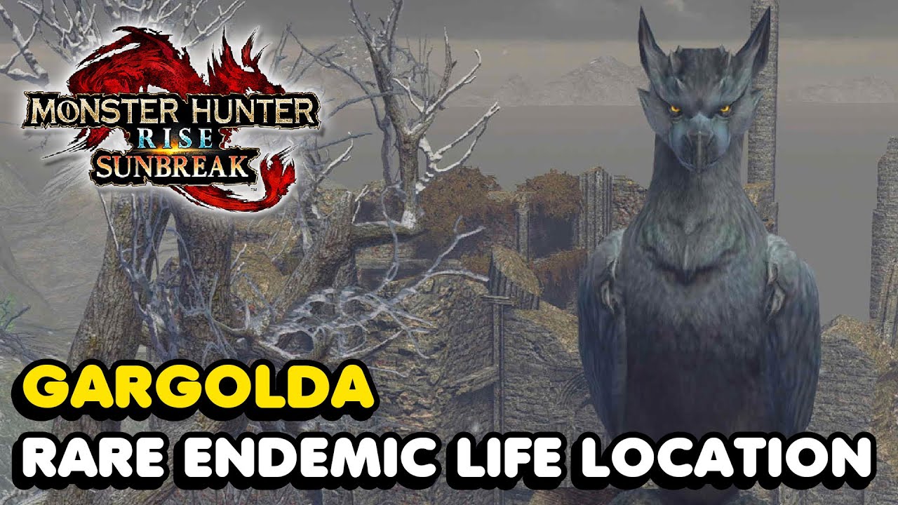 MH Rise: Sunbreak - Gargolda Location (Citadel Rare Endemic Life)