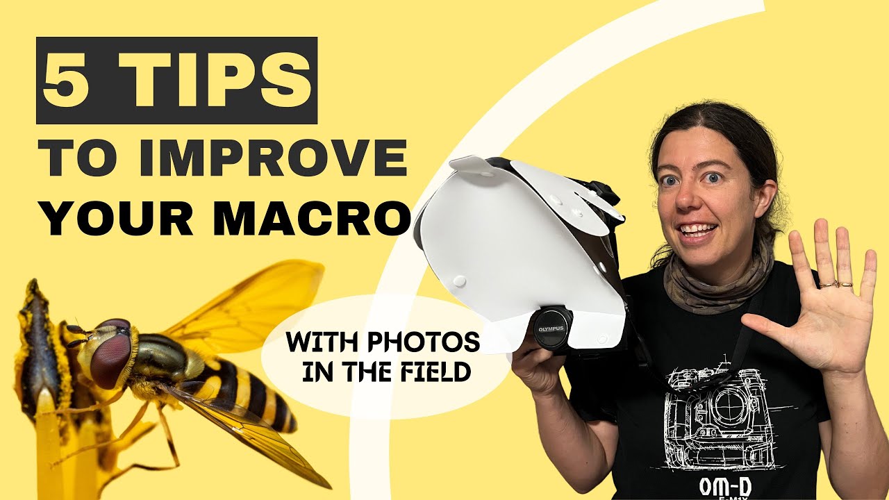 5 tips to improve your macro photography