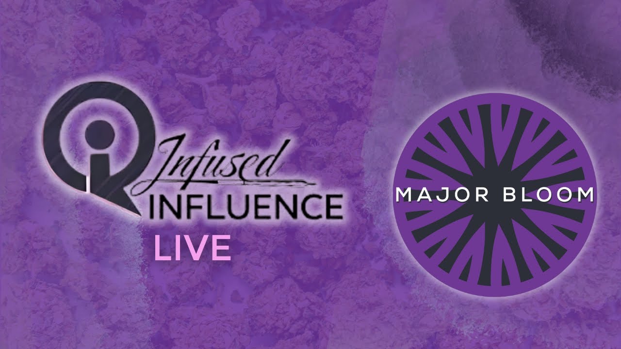 Infused Impact - Live