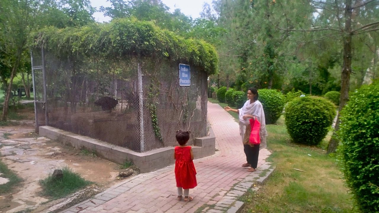 Beautiful park of Rawalpindi || Short visit