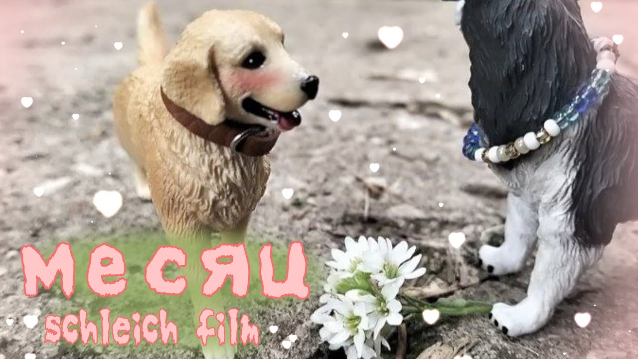 Schleich film: месяц/ шляйх фильм с фигурками собак🚩