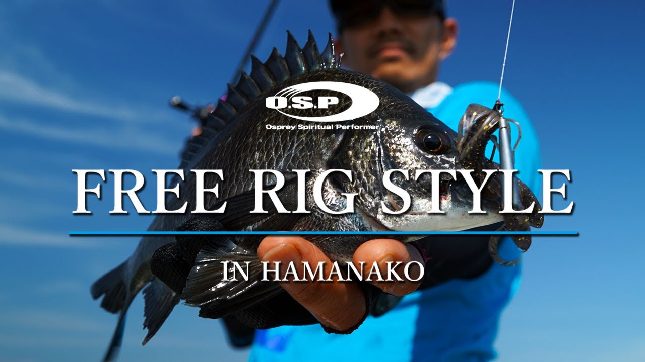 ボトムに張り付くチヌを狙い撃ち！｜ ドライブホッグSW　- FREE RIG STYLE - 【O.S.P】