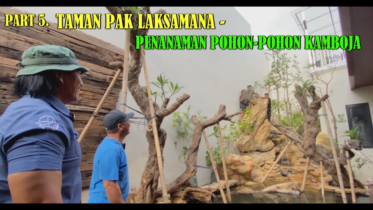 PART 5. TAMAN PAK LAKSAMANA - PENANAMAN POHON-POHON KAMBOJA