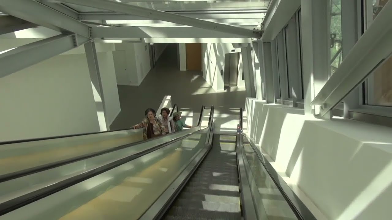 La fondation Louis Vuitton à Paris