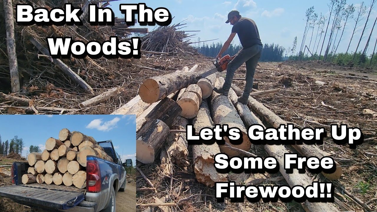 Back In The Woods, Let's Gather Up Some Free Firewood!!