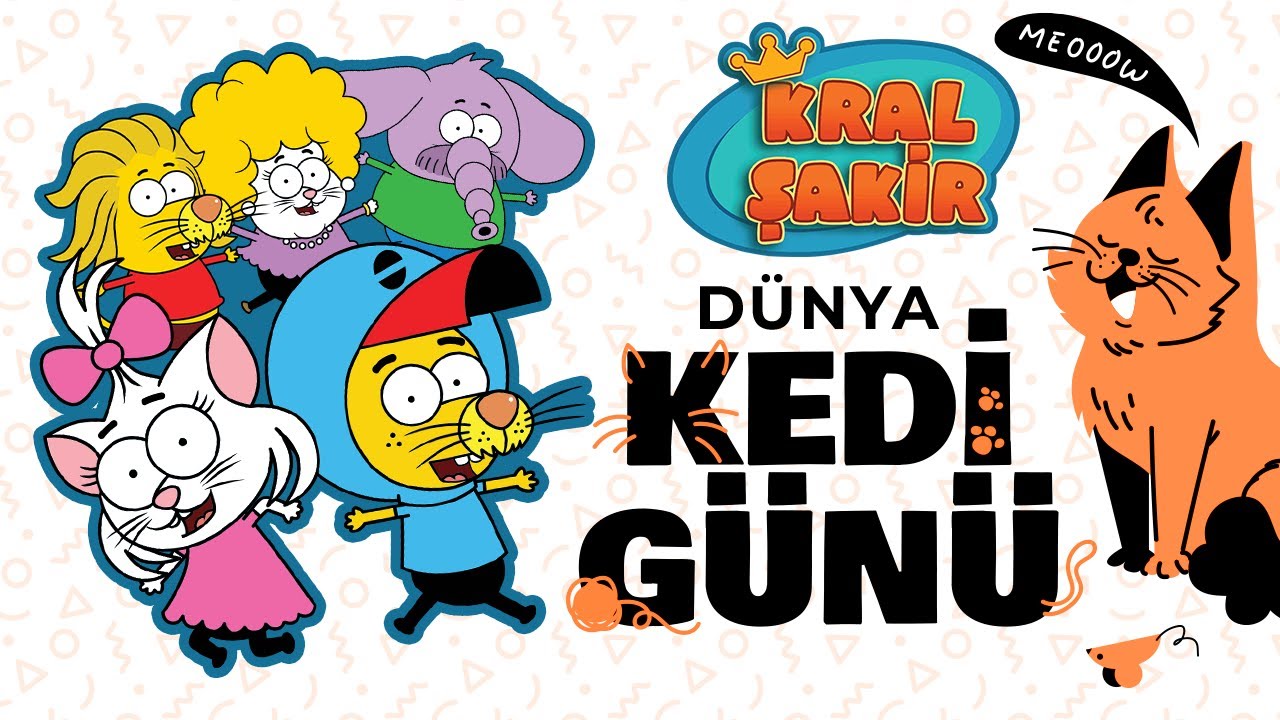 Dünya Kediler Günü - Kral Şakir