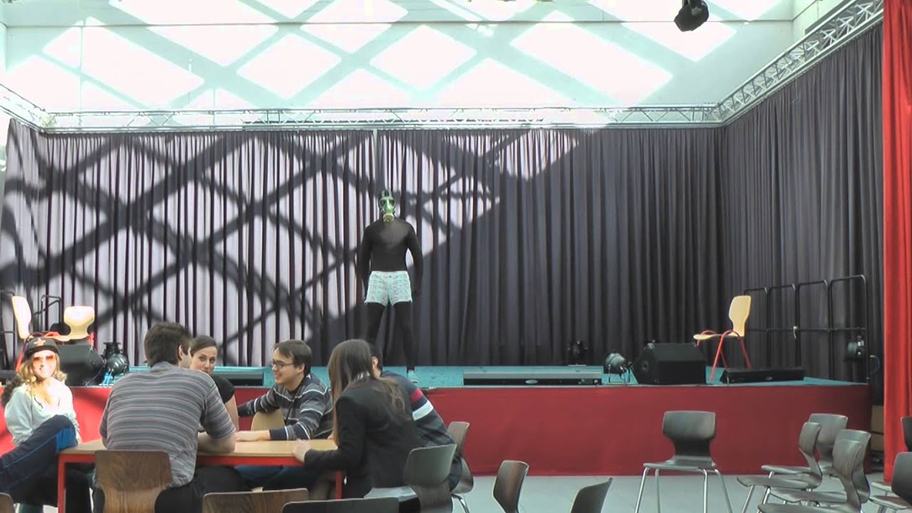 Harlem Shake // MSS 13 // Gymnasium an der Heinzenwies