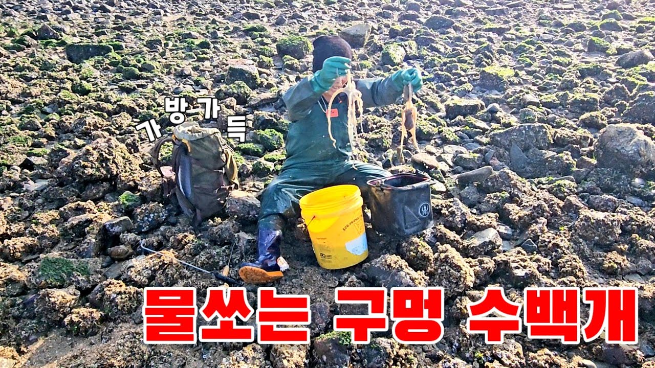 평범한 돌밭인 줄 알았는데 물뿜는 구멍 수백개였습니다