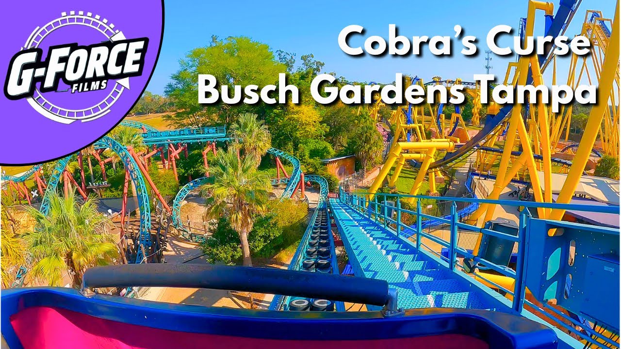 Cobra's Curse rear car POV, Busch Gardens Tampa