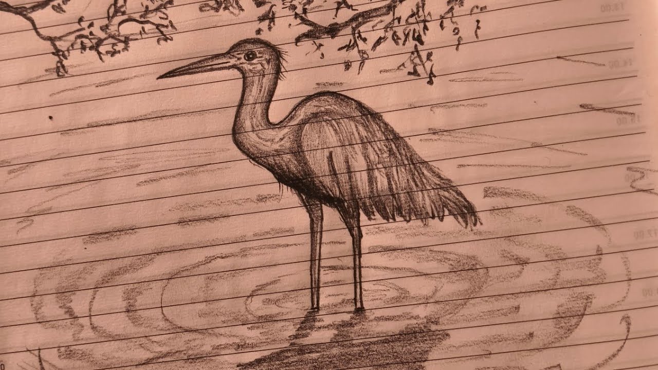 Draw a crane easily in water. crane water