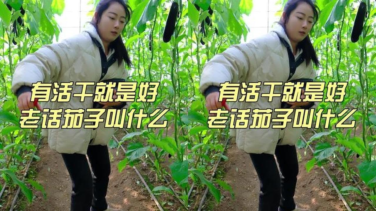 铁铁们，好起来了，有活干了#农村我的乡村生活 #茄子树 #打工妹的日常 #农村原创视频 #农村生活