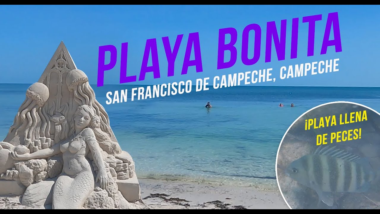 🏖️ 🌊 Visitamos Playa Bonita en Campeche 🐠 Para&iacute;so lleno de peces, arena blanca y aguas tranquilas