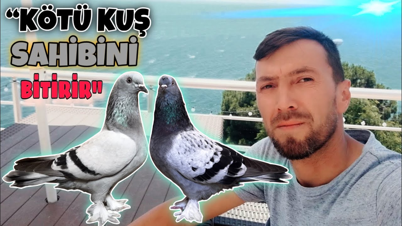 KUŞLARIM GİTTİĞİ HER YERDE BENİ ONURLANDIRIYOR / Muhammet AYDIN / Kümes Ziyareti / Sinop