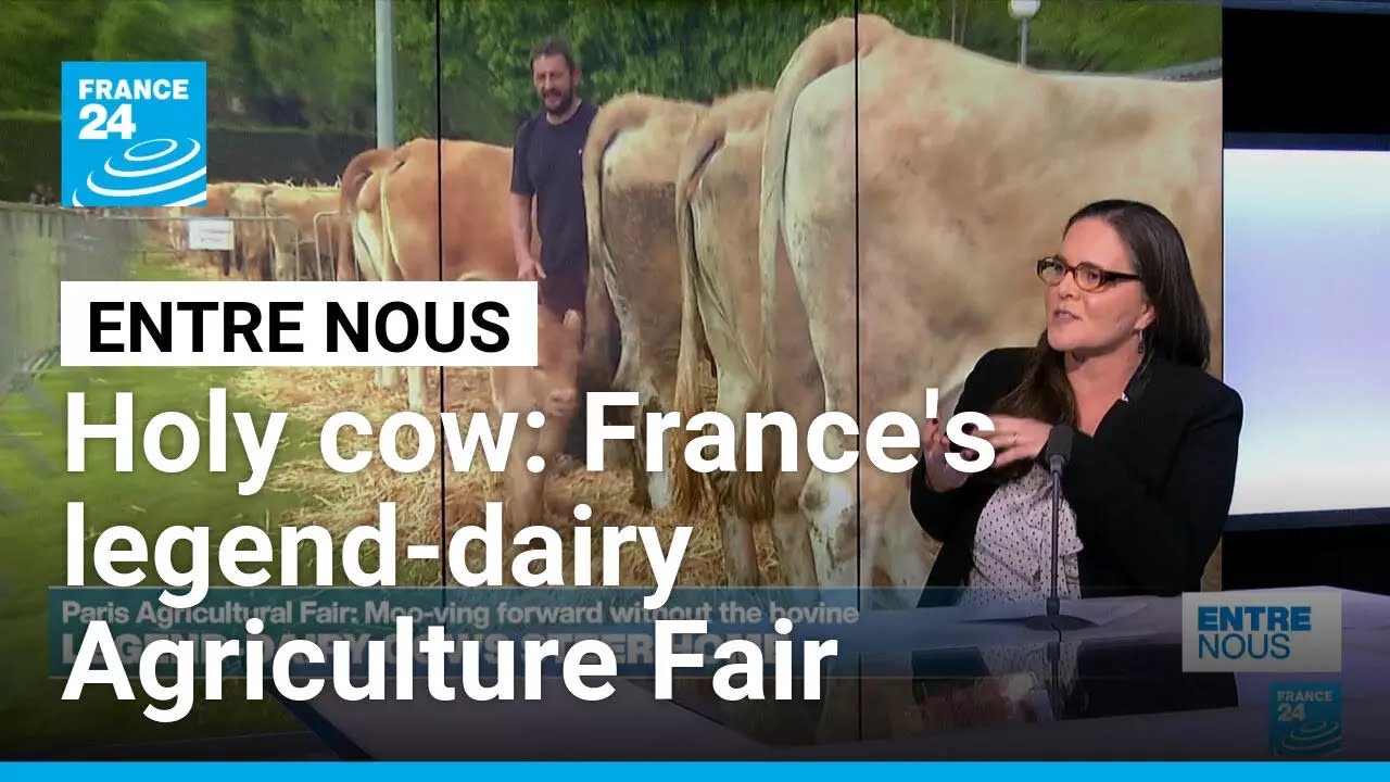Holy cow: Paris Agriculture Fair moo-ves forward without the bovine • FRANCE 24 English