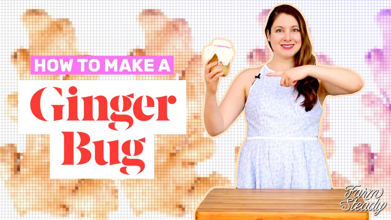 How to Make a Ginger Bug for Naturally Fermented Sodas & Ginger Beers