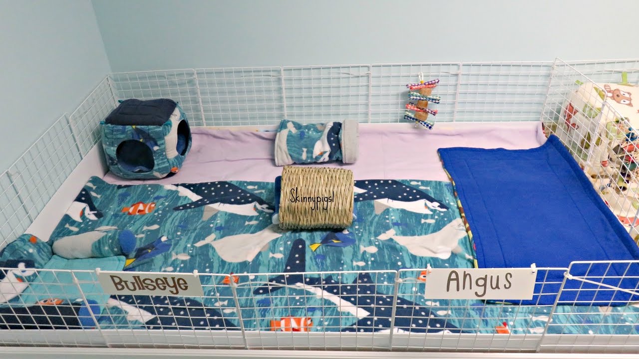 Brand New Pet Room Tour: 10 Guinea Pigs & 1 Rabbit