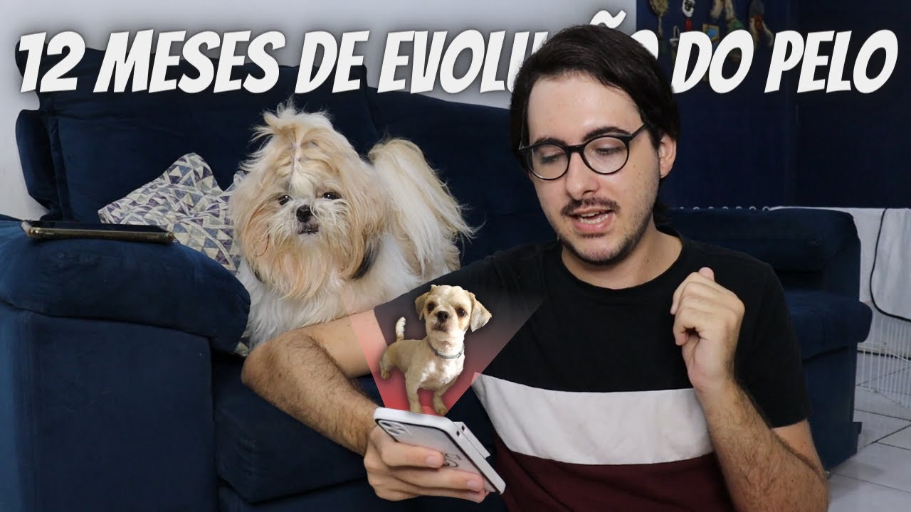 COMO O PELO DO FLOQUINHO CRESCEU RÁPIDO? Dicas Pet!