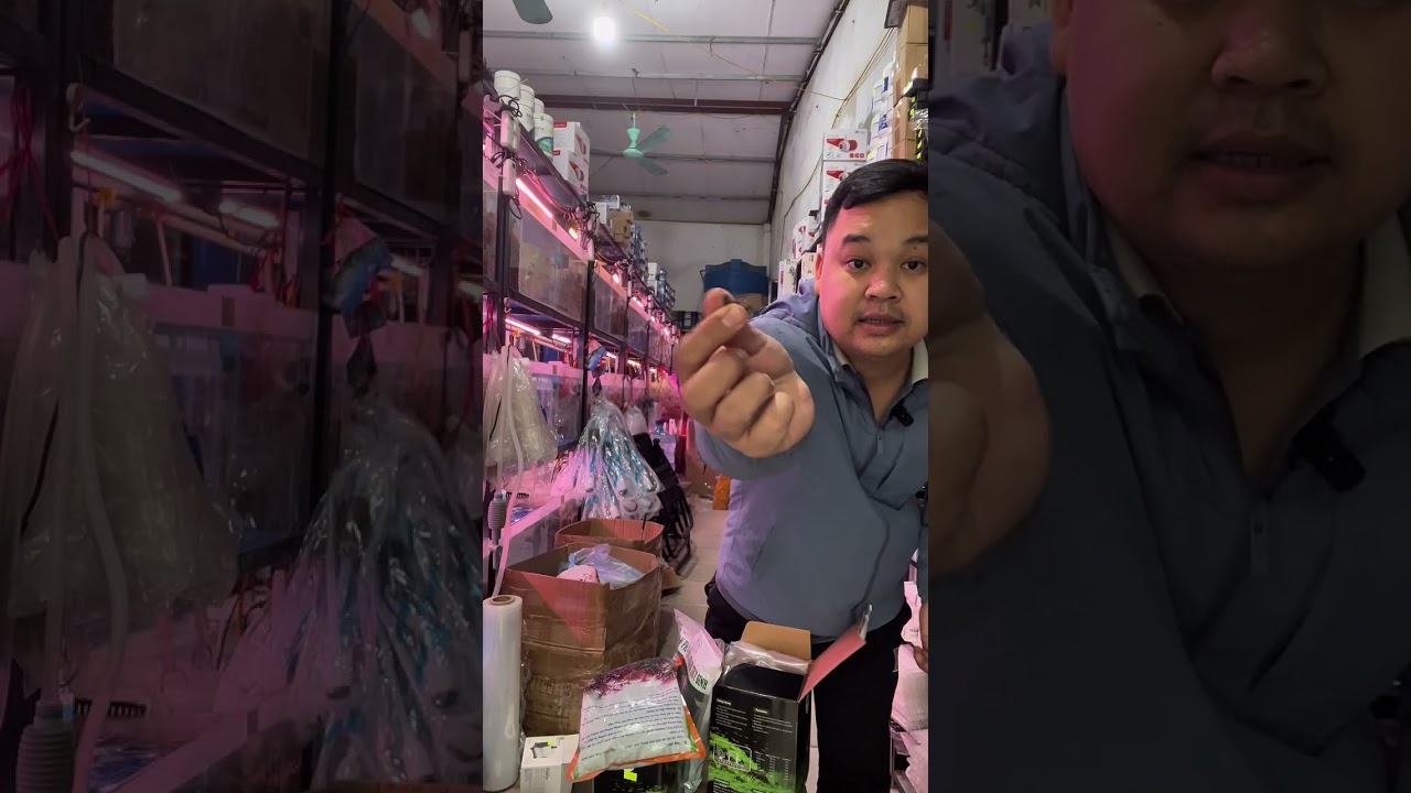 khác biệt cốt nền và phân nền