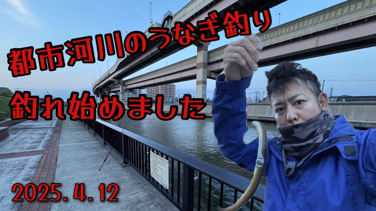【うなぎ釣り】東京都葛飾区の都市河川でうなぎ釣り