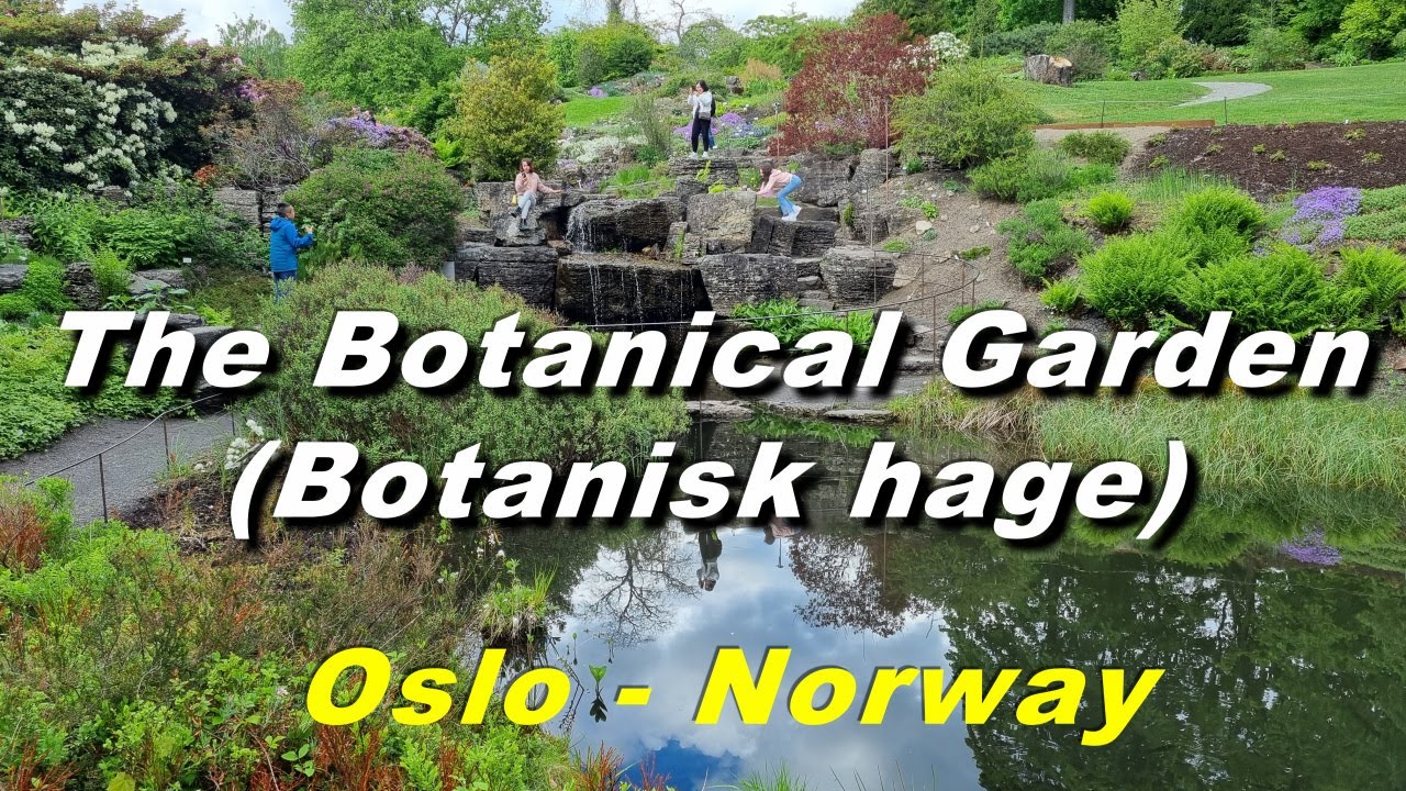 The Botanical Garden (Botanisk hage) ,Oslo (Norway)