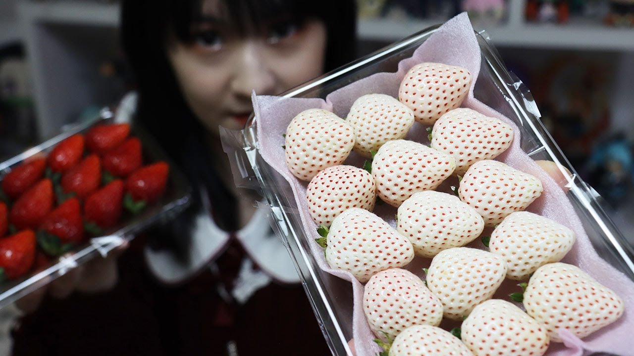 O MORANGO BRANCO DO JAPÃO, HATSUKOI NO KAORI. TEM GOSTO DE ABACAXI?