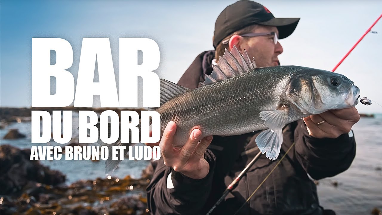 Pêche du bar depuis le bord : une belle session avec Ludo et Bruno