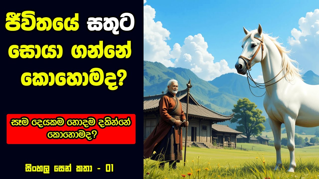 ජීවිතයේ සතුට සොයාගන්නේ කොහොමද?. What is Happiness in Sinhala (Sinhala Zen Story 01)