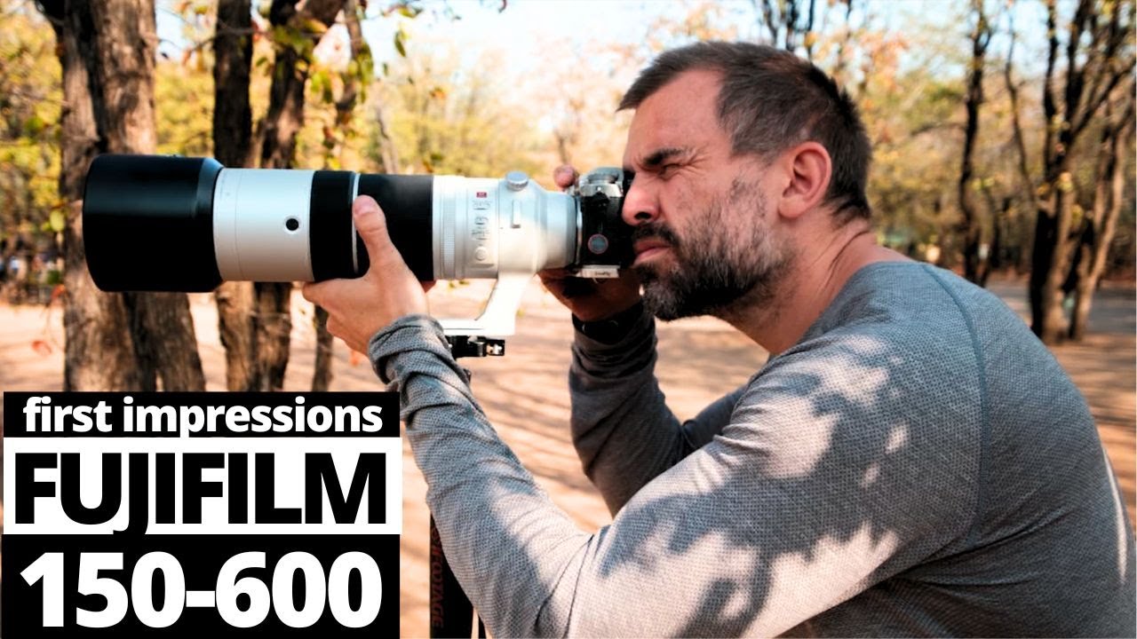 Первые впечатления от объектива Fujifilm 150-600mm Crazy Good для съемки дикой природы