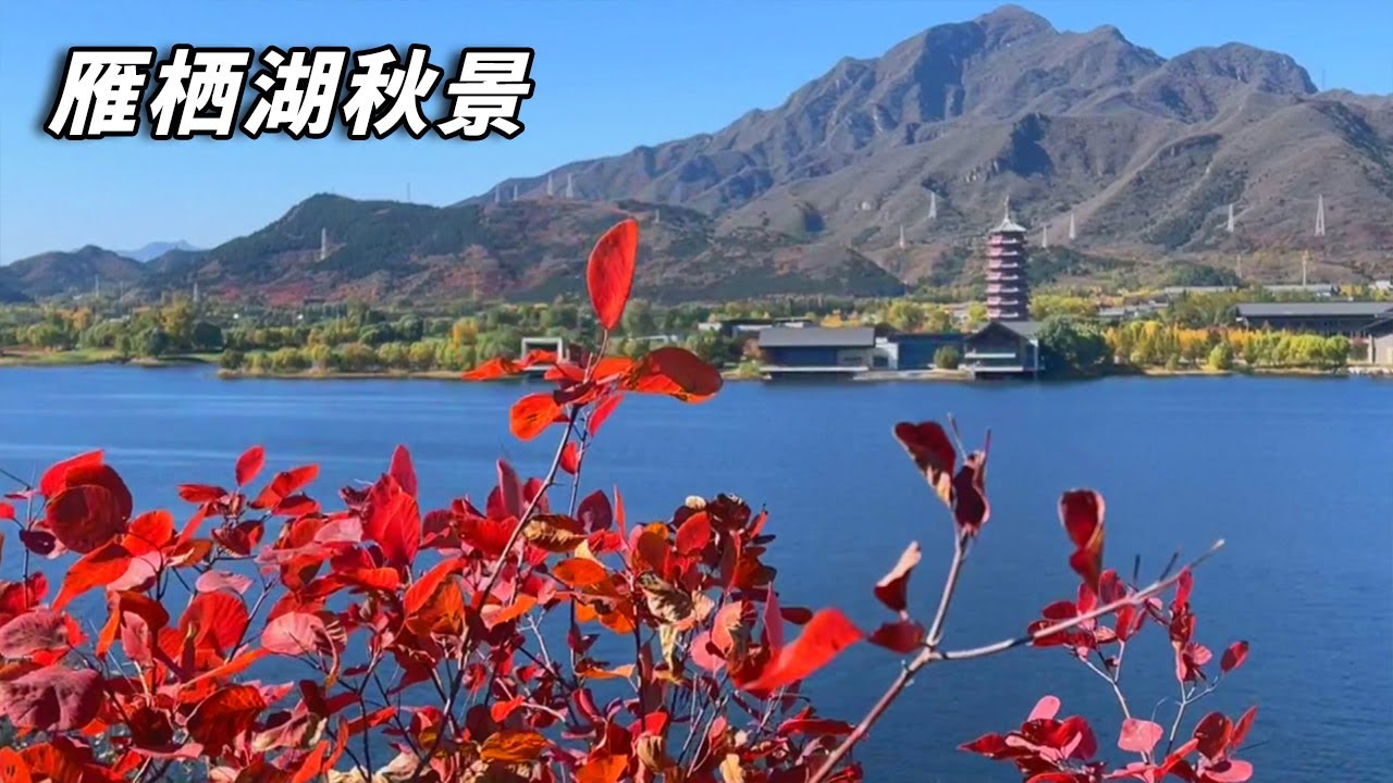 北京赏秋之旅～100元通票的雁栖湖，湖光山色美极了！【行走世界的北京老刘】