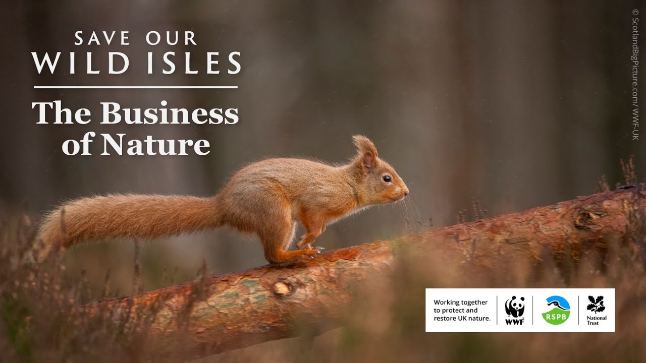 How can business help solve the nature crisis?