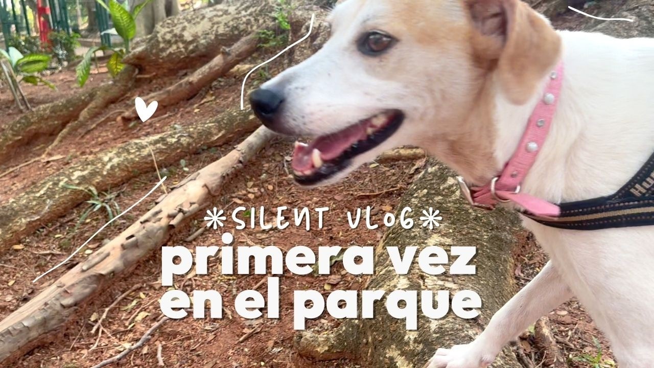 Vida consciente con un perro | ¡Darlita aprende a explorar en la naturaleza!