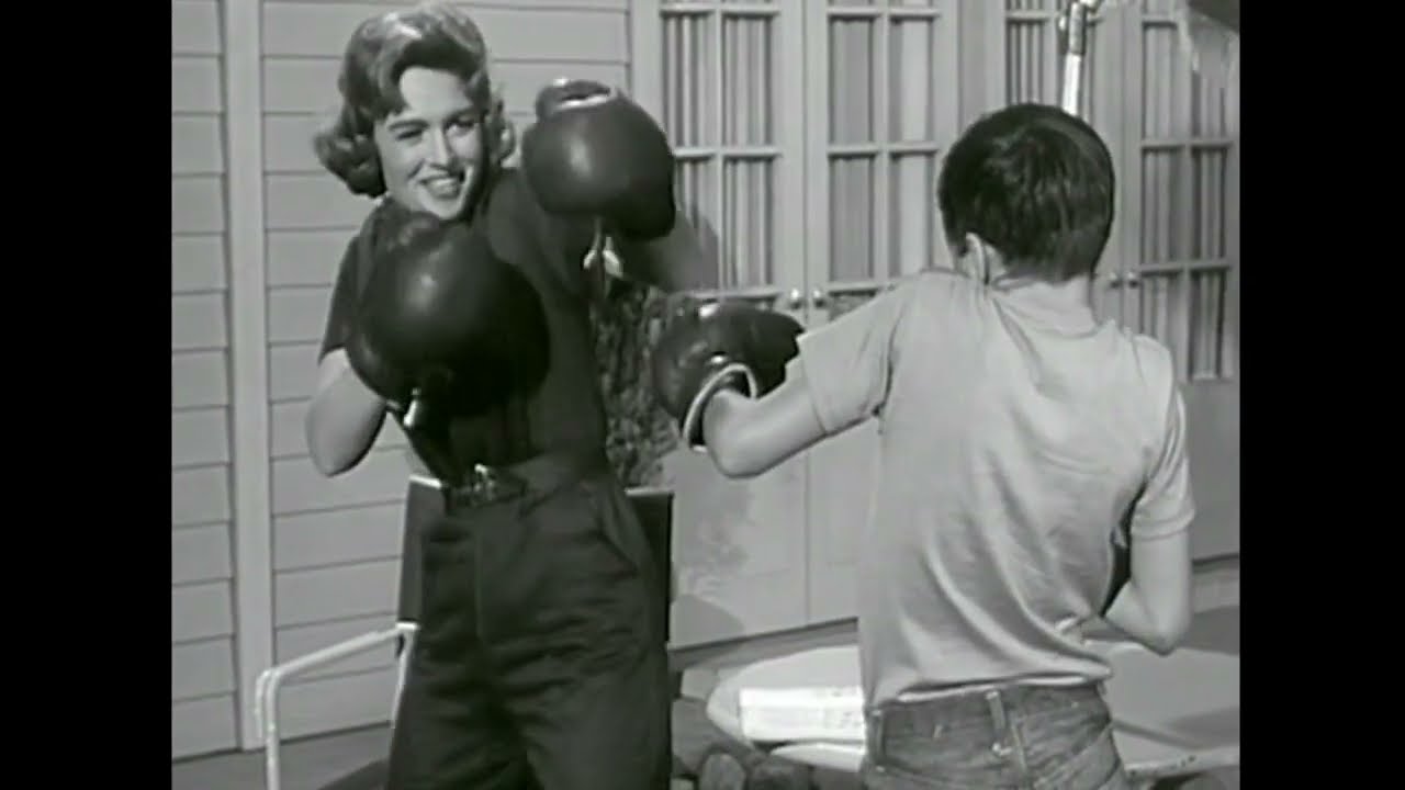 Donna Teaches Jeff How To Fight | The Donna Reed Show