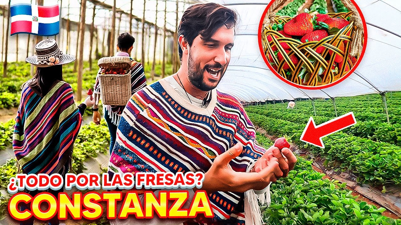 El lugar más FAMOSO en las Redes Sociales está en CONSTANZA🇩🇴 | Fresas Ariyama😱