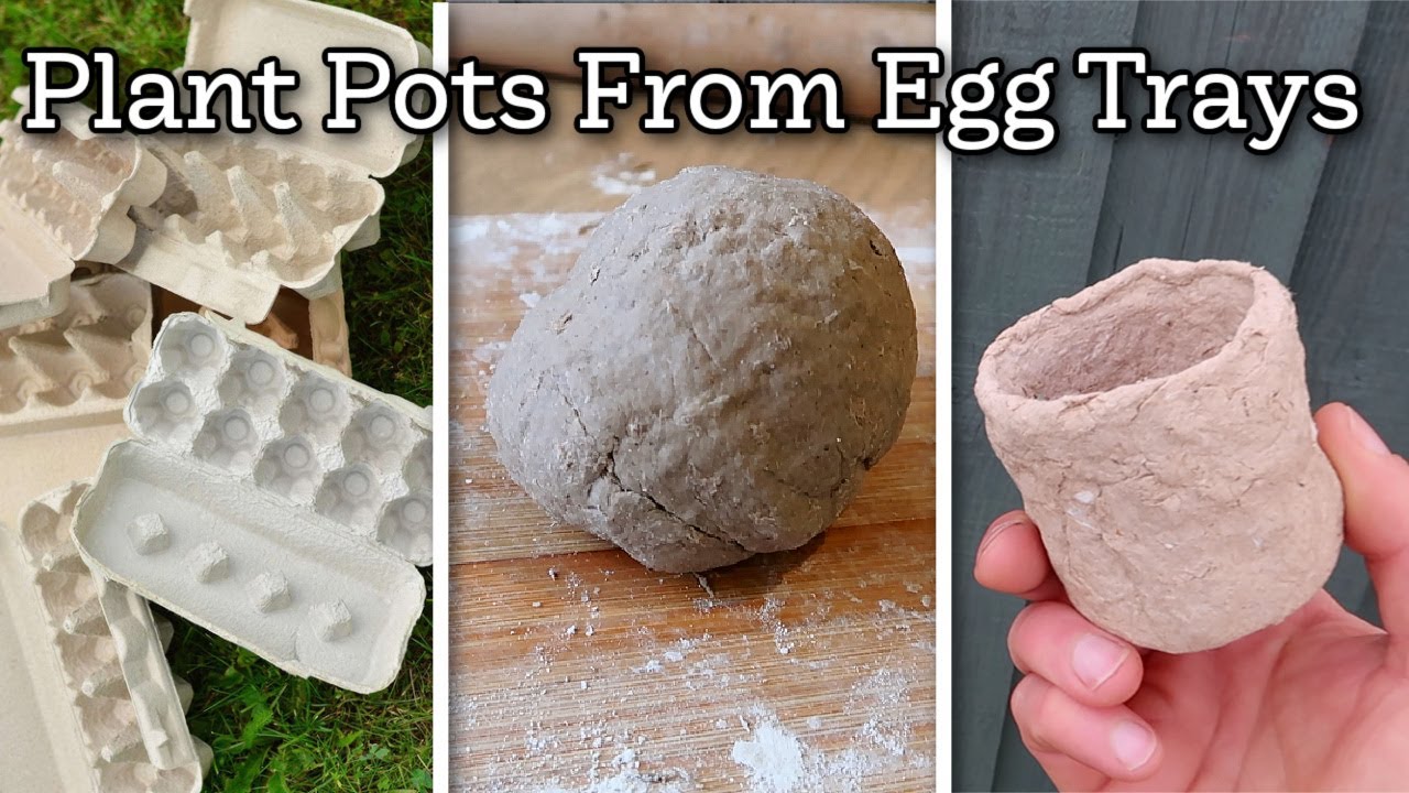 How To Make Biodegradable Plant Pots From Cardboard Egg Containers