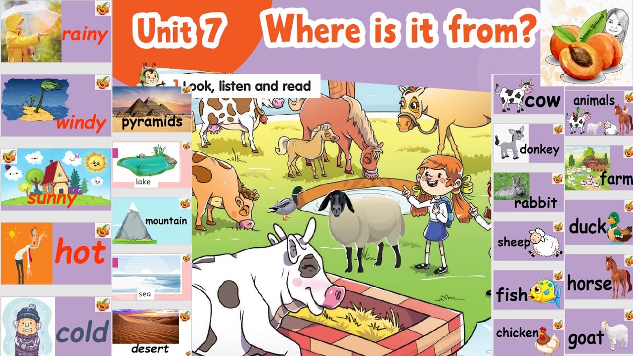 CONNECT PLUS primary 2 unit 7 Where is it from?  P1🦆🐄🐟🐑🐎🐓🐐نصوص أستماع الوزارة  كونكت بلس الصف الثاني
