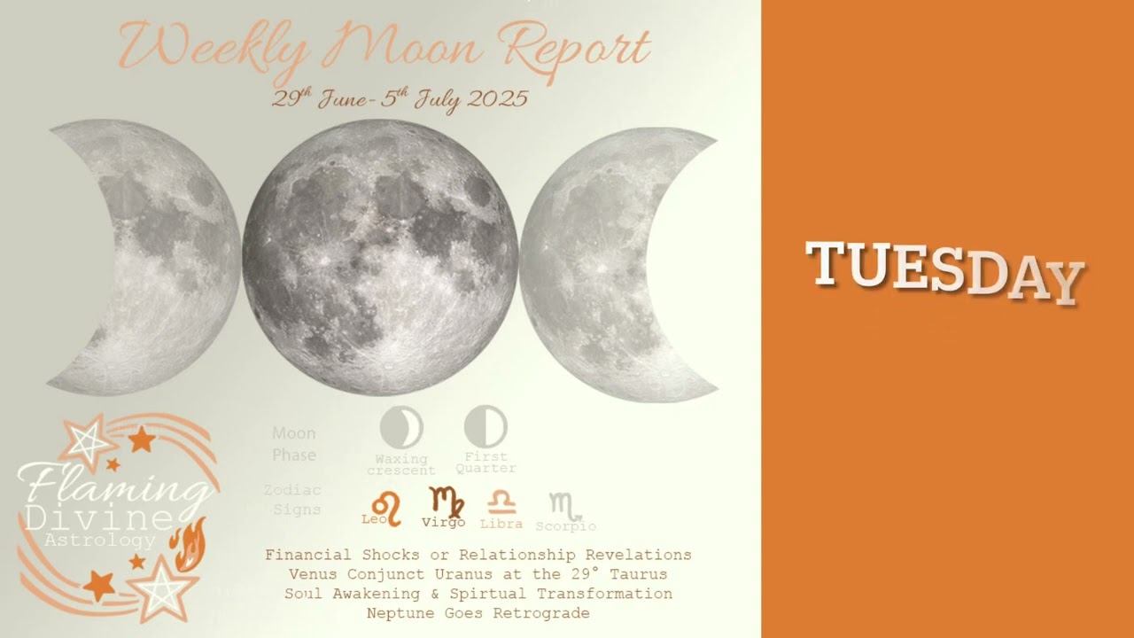 The Weekly Moon Report 29th June - 5th July 2025
