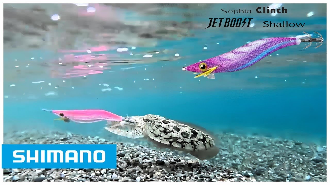 Un'ESCA UNICA per SEPPIE e CALAMARI  | EGING in PRIMAVERA